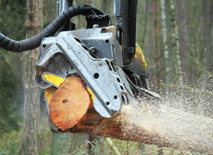 Picture of a harvester grapple arm in use